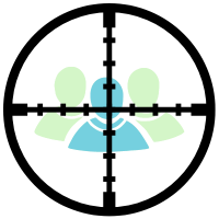 SEO Optimization